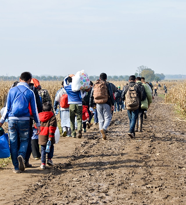 Asylum and Refugee 3